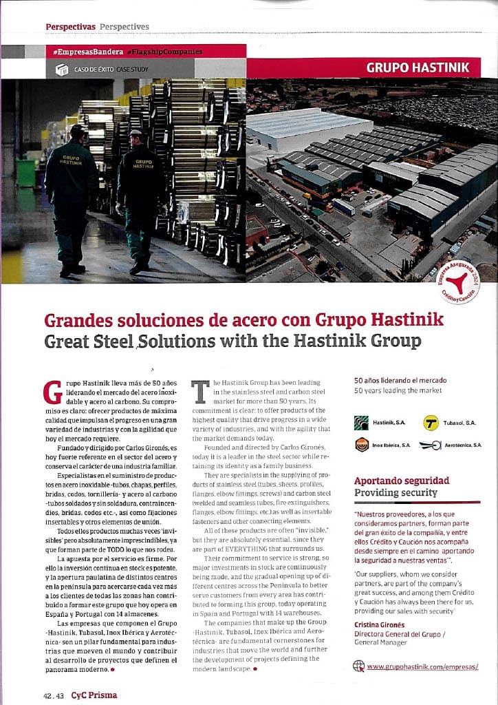 Case study Grupo Hastinik